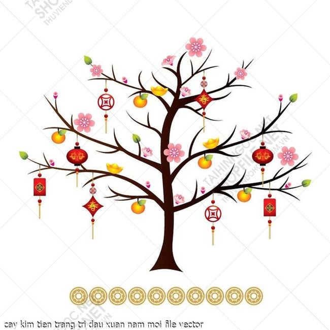 cay kim tien trang tri dau xuan nam moi file vector